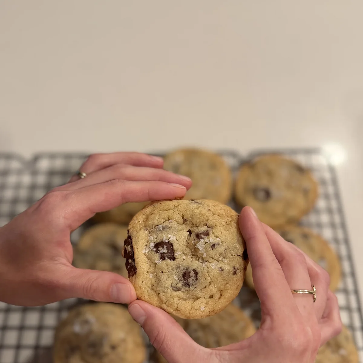 Chocolate Chip Cookies