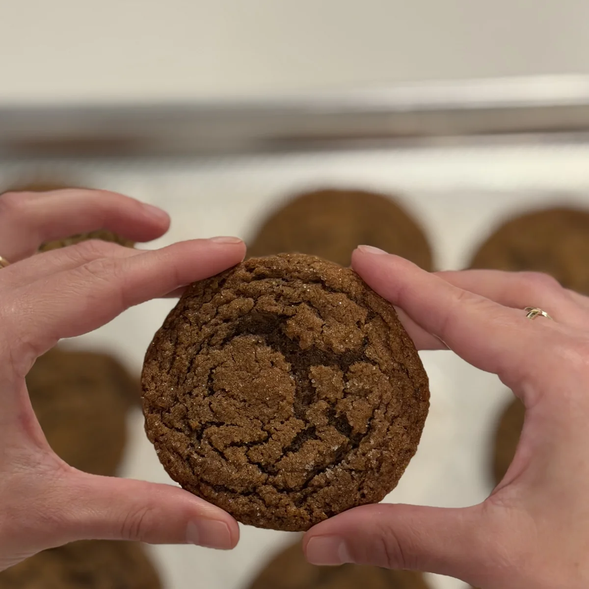 Ginger Molasses Cookies