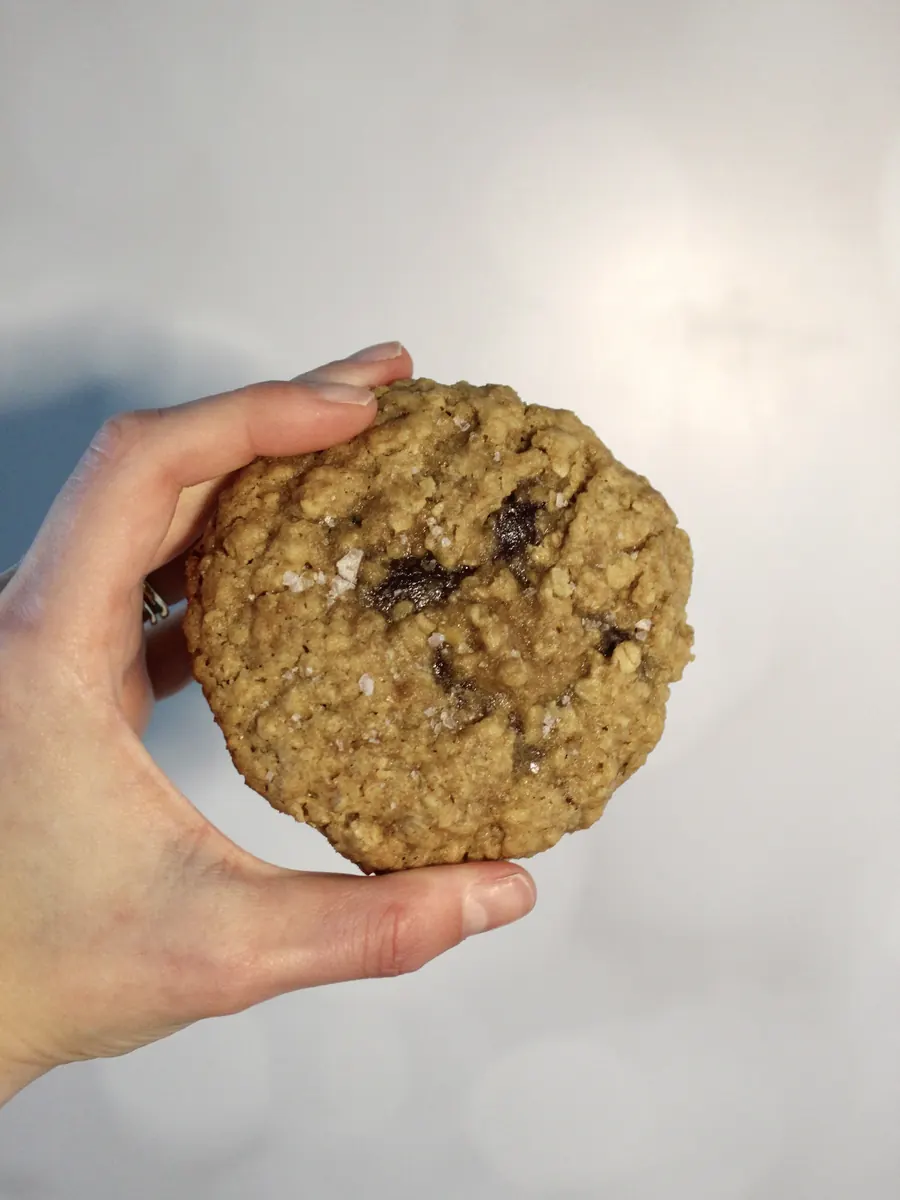 Hand holding an oatmeal chocolate chunk cookie