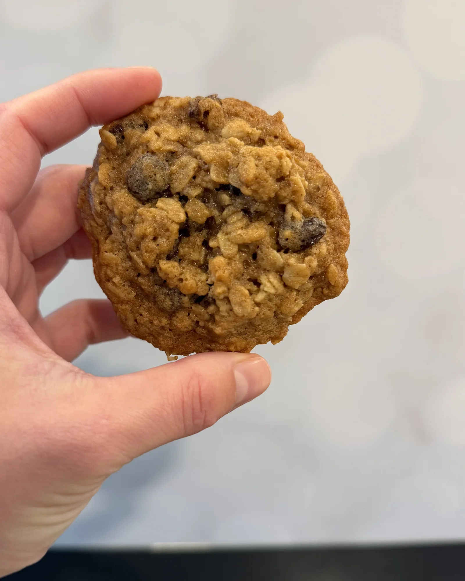Oatmeal Raisin Cookies